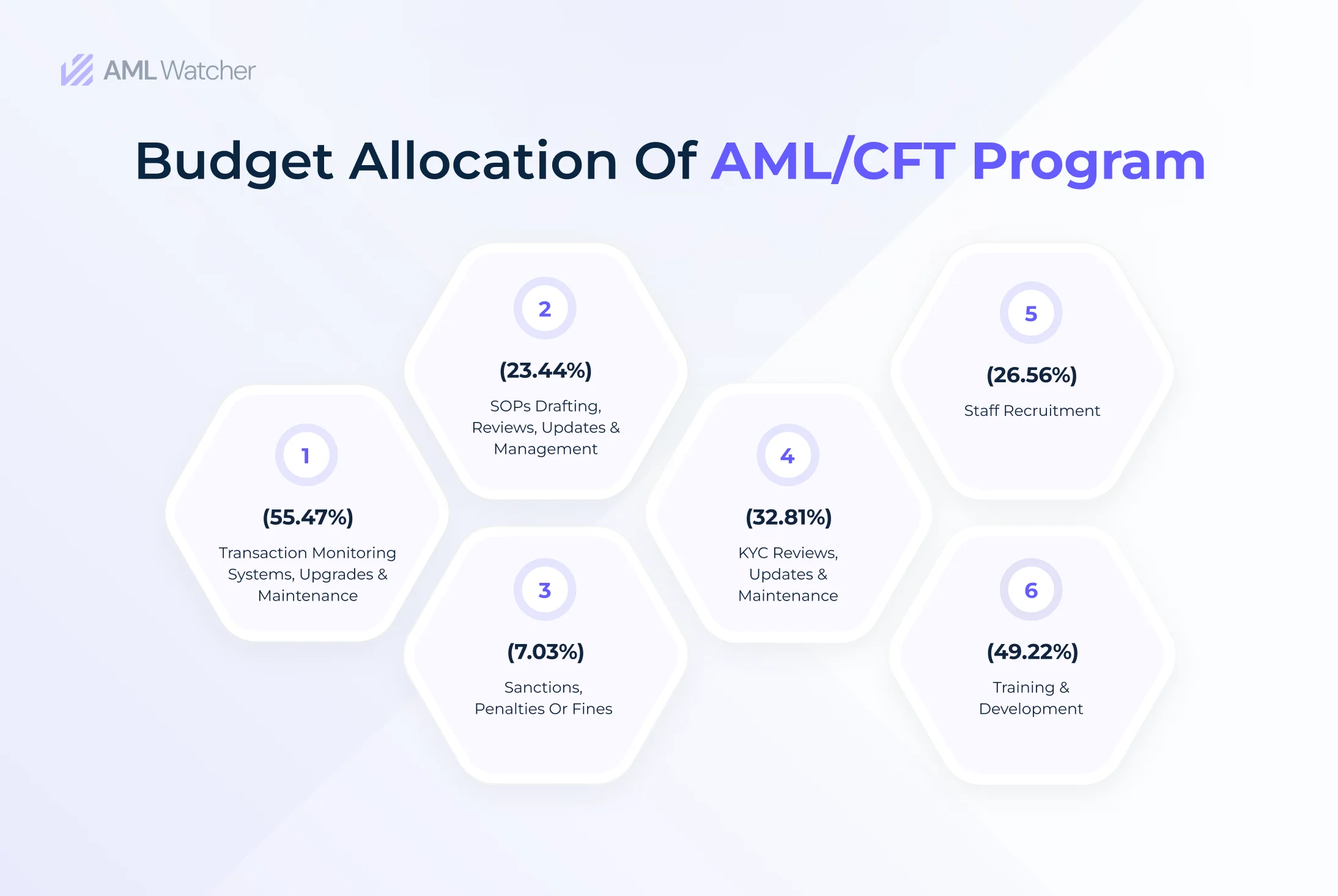 A survey report from MENA FCCG showcasing the budget allocation of AML/CFT departments.