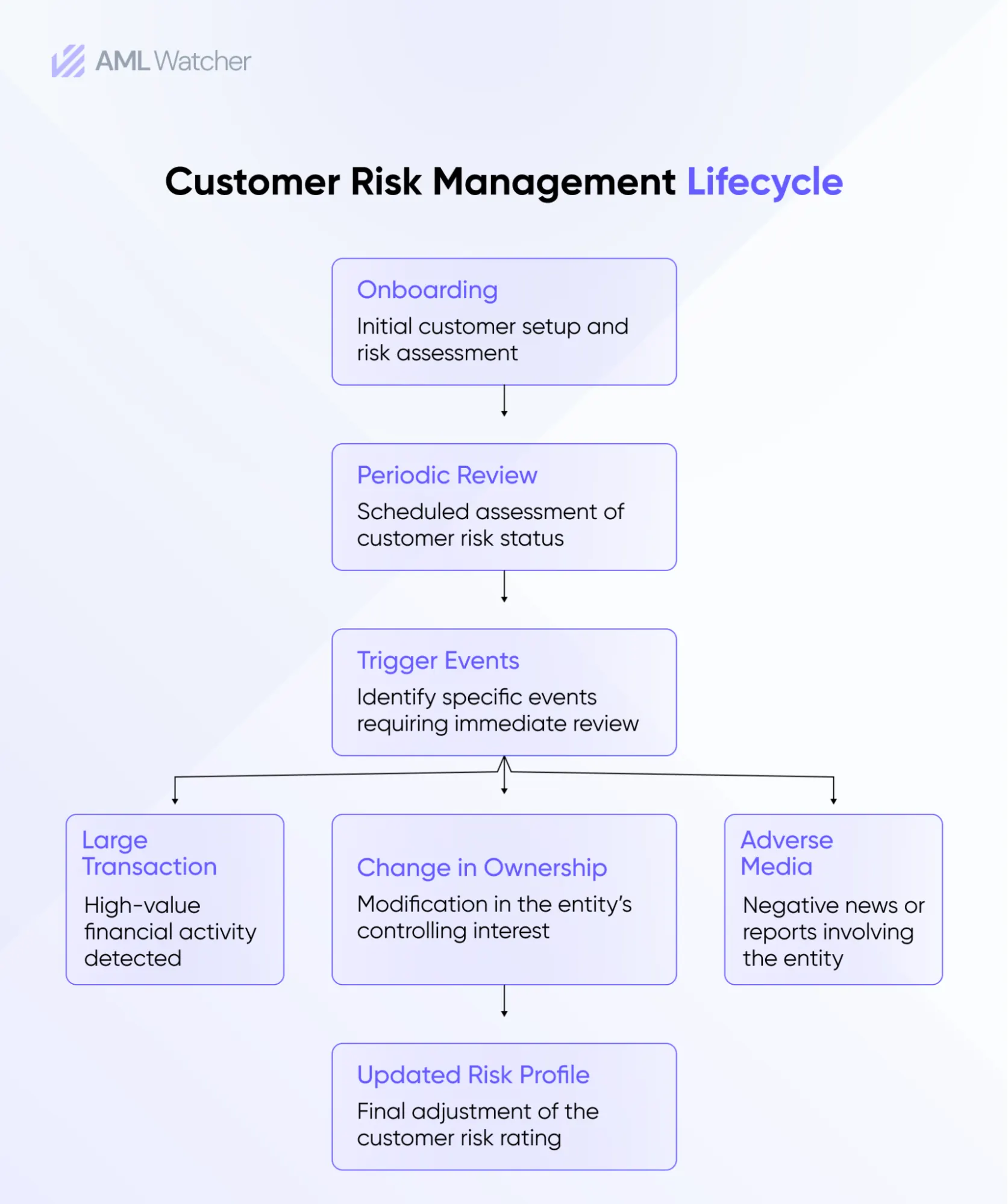 Flowchart depicting the Customer Risk Management Lifecycle.