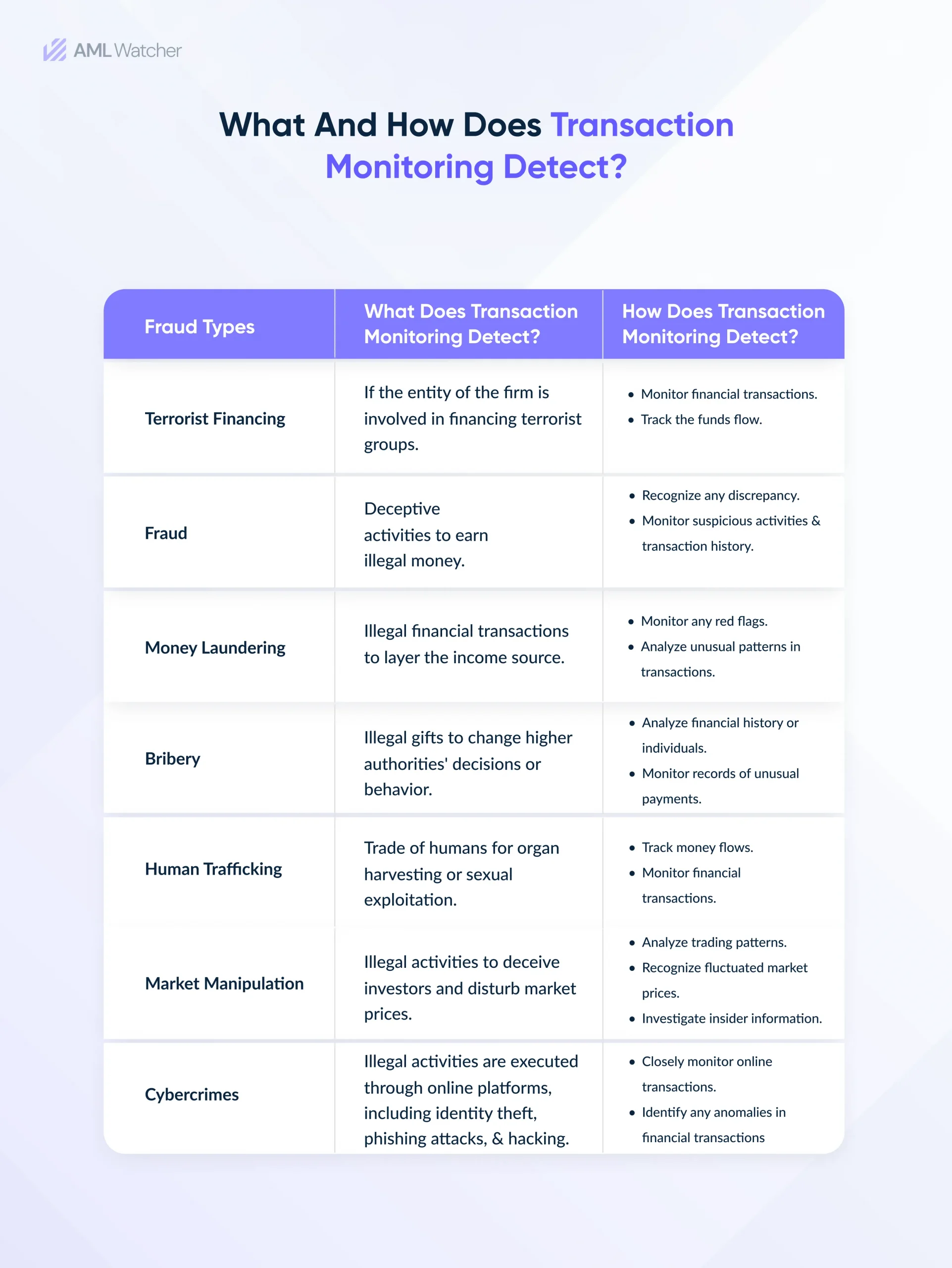 What and How does transaction monitoring detect?