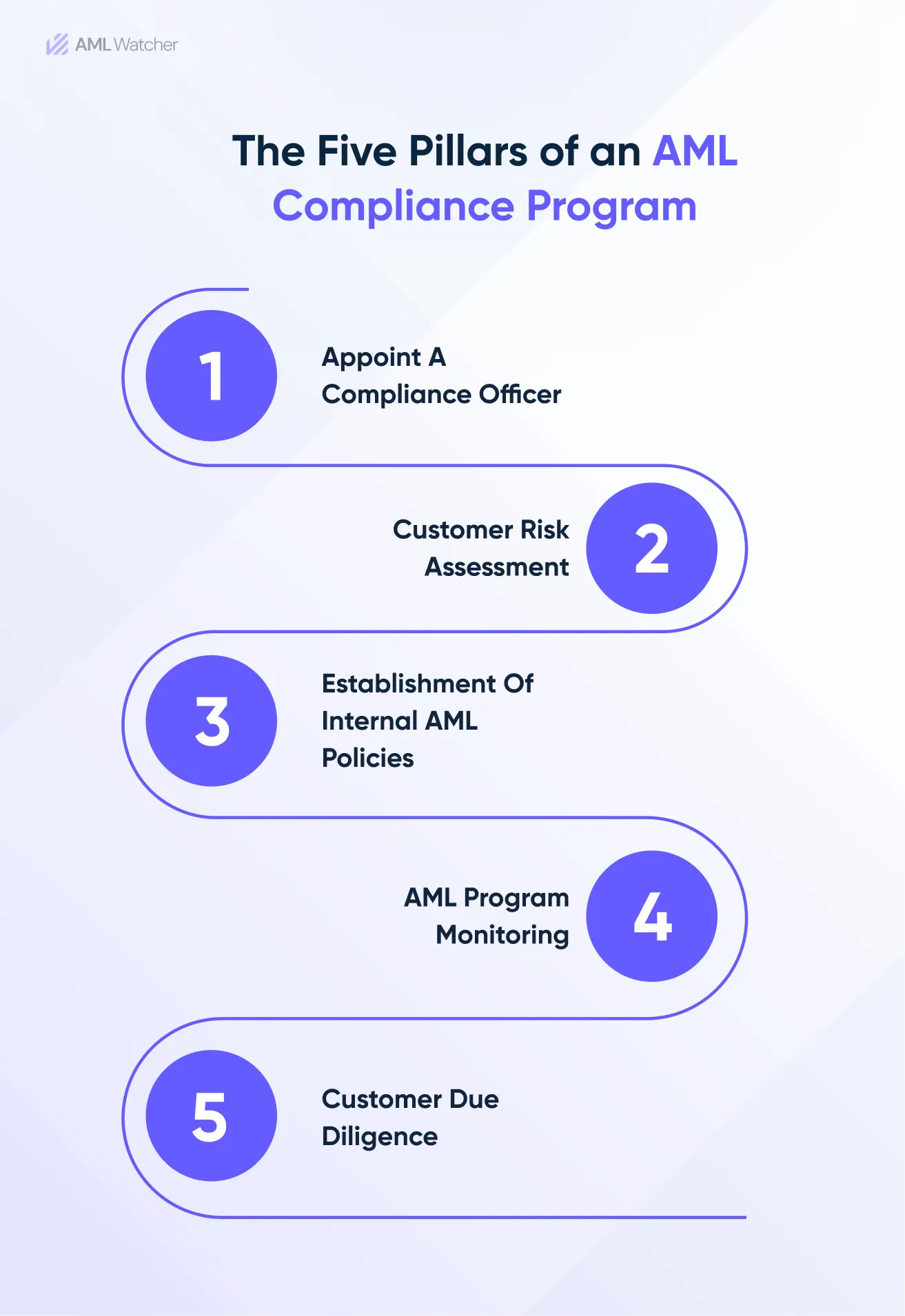 This infographic highlights the 5 Pillars of an AML Compliance Program