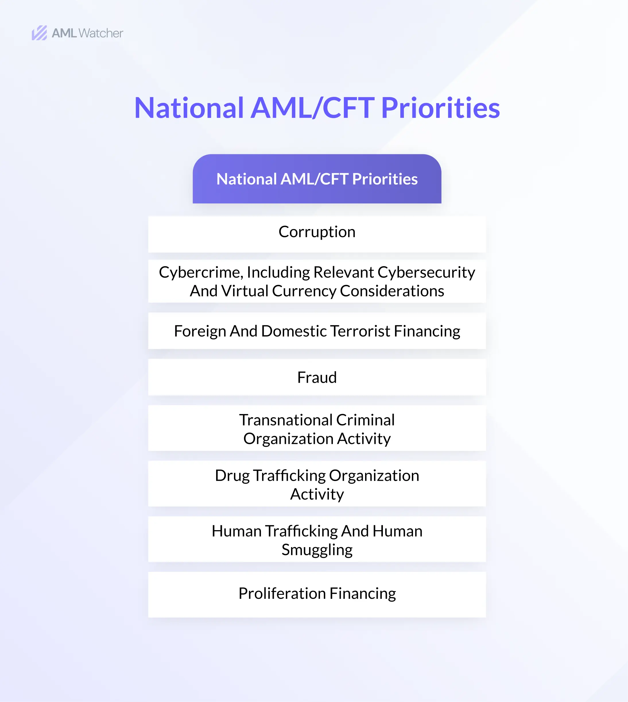 this image shows the National AML/CFT Priorities