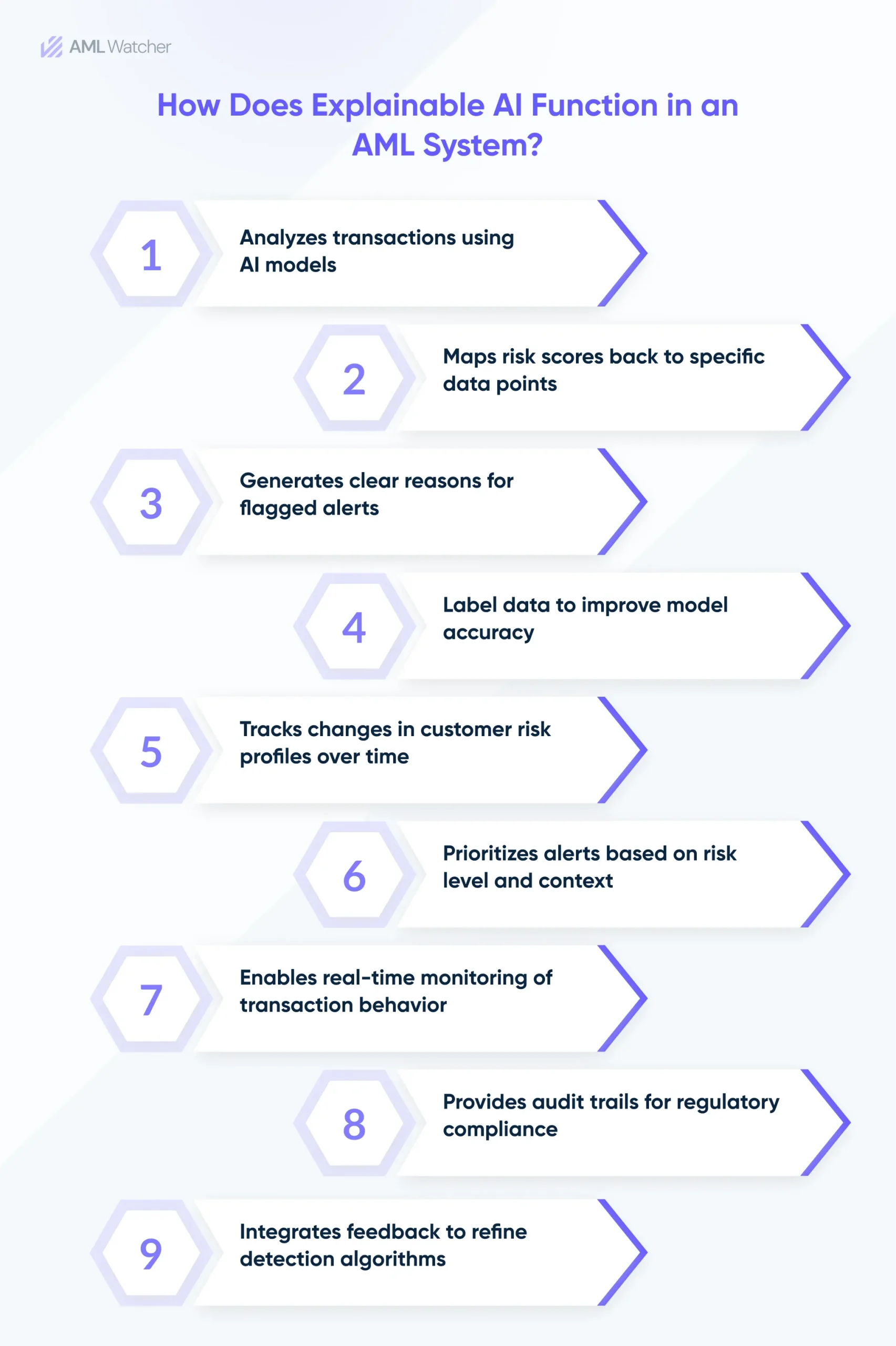 How Does Explainable AI Function in an AML System? 