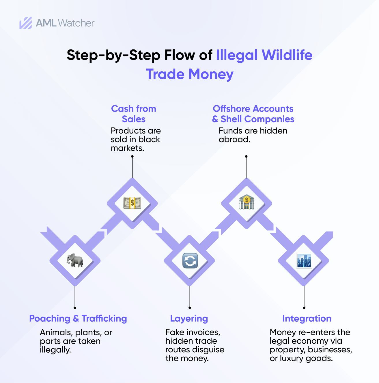 Step-by-Step Flow of Illegal Wildlife Trade Money