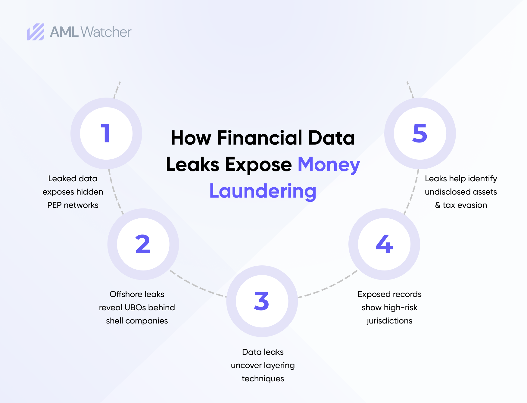 How Financial Data Exposes Fuel Money Laundering