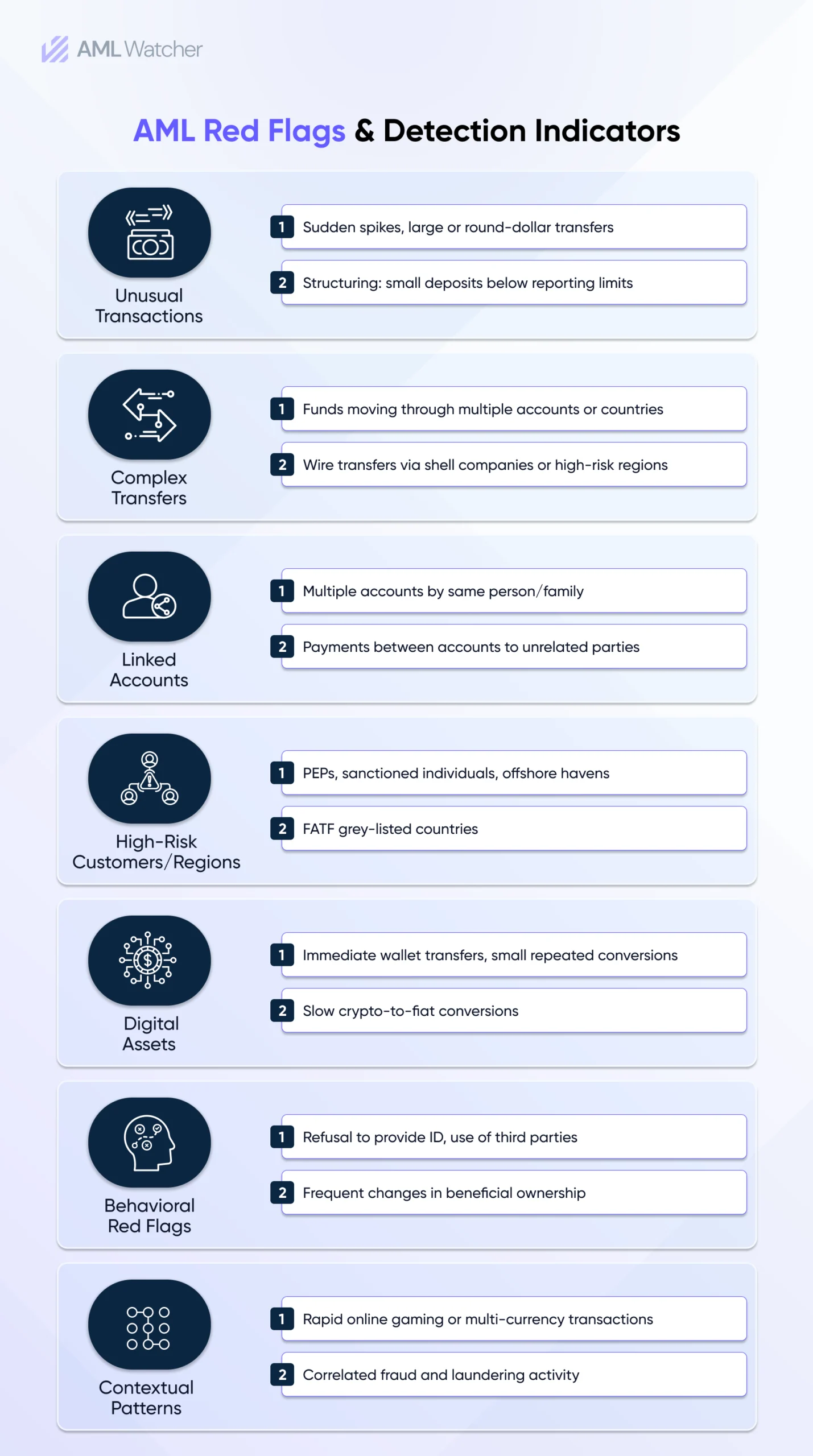 AML Red Flags and Detection Indicators